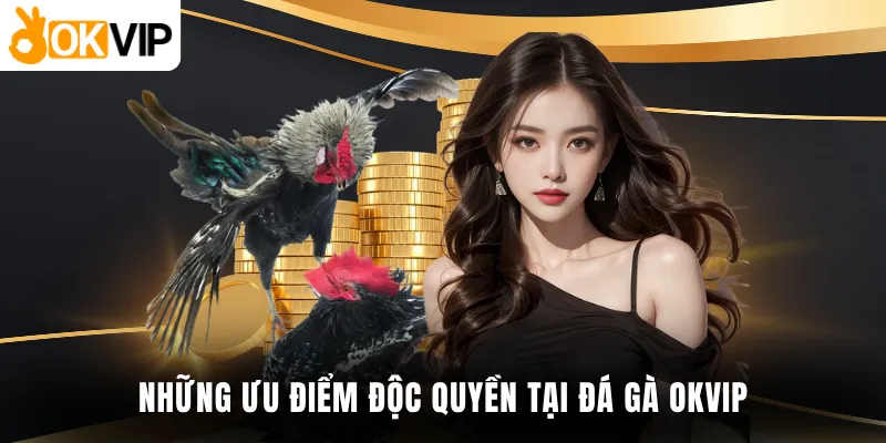 Những ưu điểm độc quyền tại đá gà OKVIP