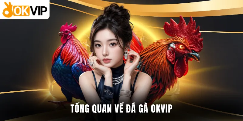 Tổng quan về đá gà OKVIP