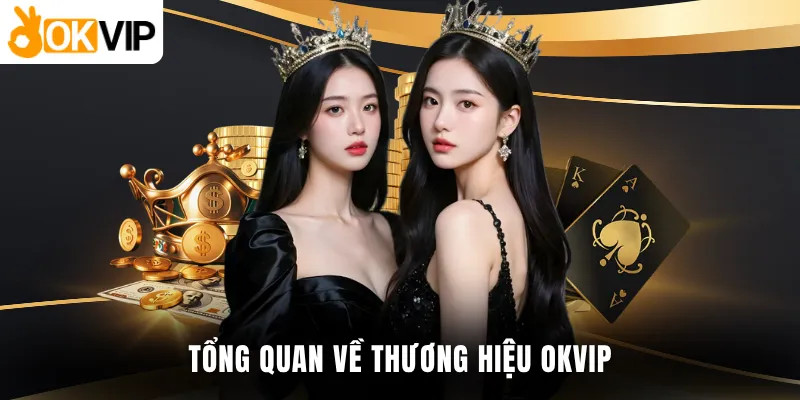 Tổng quan về thương hiệu OKVIP